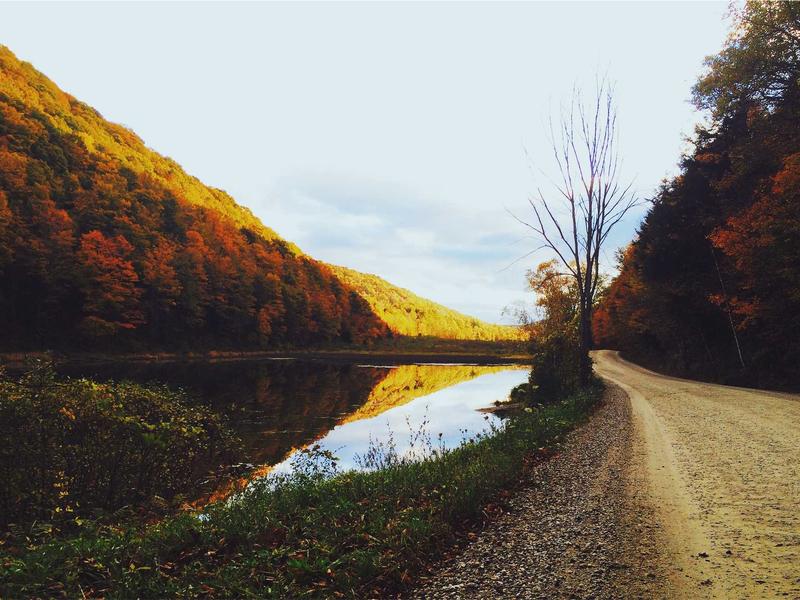 TraxelFynTorMynvex La Vega